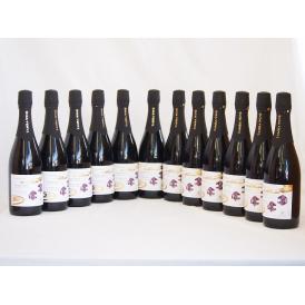12本セット(京都丹後産サペラヴィ　スパークリング赤ワイン alc.11%中口) 750ml×12本