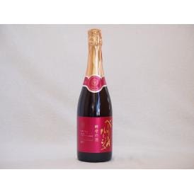 山梨県産マスカット・ベーリーA　スパークリング赤ワイン ルージュ 酵母の泡  alc.11%やや辛口