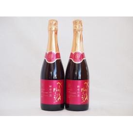 2本セット(山梨県産マスカット・ベーリーA　スパークリング赤ワイン ルージュ 酵母の泡  alc.1