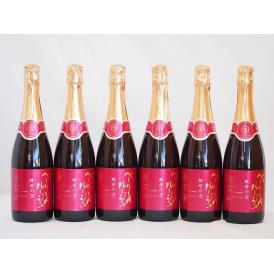 6本セット(山梨県産マスカット・ベーリーA　スパークリング赤ワイン ルージュ 酵母の泡  alc.1