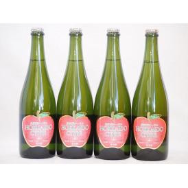 4本セット(北海道余市産りんご100%シードル スパークリングワイン alc.5.5% やや甘口) 