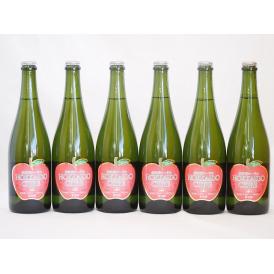 6本セット(北海道余市産りんご100%シードル スパークリングワイン alc.5.5% やや甘口) 