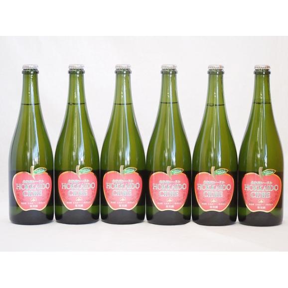 6本セット(北海道余市産りんご100%シードル スパークリングワイン alc.5.5% やや甘口) 01