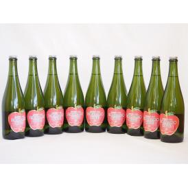 9本セット(北海道余市産りんご100%シードル スパークリングワイン alc.5.5% やや甘口) 