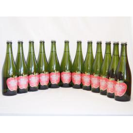 12本セット(北海道余市産りんご100%シードル スパークリングワイン alc.5.5% やや甘口)