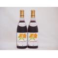 2本セット(北海道産キャンベルアーリ赤ワイン プレミアムキャンベル甘口) 720ml×2本