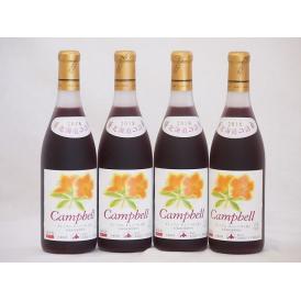 4本セット(北海道産キャンベルアーリ赤ワイン プレミアムキャンベル甘口) 720ml×4本