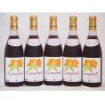 5本セット(北海道産キャンベルアーリ赤ワイン プレミアムキャンベル甘口) 720ml×5本