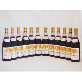 12本セット(北海道産キャンベルアーリ赤ワイン プレミアムキャンベル甘口) 720ml×12本