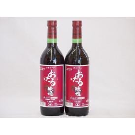 2本セット(北海道産100%赤ワイン 生葡萄酒 山ぶどう alc.10%やや甘口) 720ml×2本