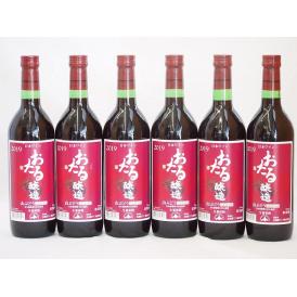 6本セット(北海道産100%赤ワイン 生葡萄酒 山ぶどう alc.10%やや甘口) 720ml×6本