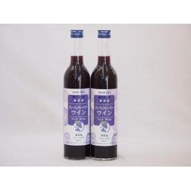 2本セット(果物ワイン グレープ&ブルーベリー alc.4%甘口) 500ml×2本