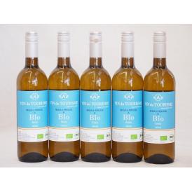 5本セット(スペインオーガニック白ワイン アイレン種ヴァンドゥツーリズムalc.13%辛口) 750