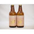 2本セット(尾張名古屋クラフトビール プラチナエールホワイトビール金しゃち) 330ml×2本