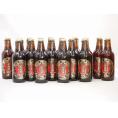 17本セット(愛知県クラフトビール 名古屋赤味噌ラガー　ダークラガー金しゃち) 330ml×17本