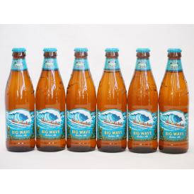 ハワイコナビール6本セット(ビッグウェーブ・ゴールデンエール) 355ml×6本