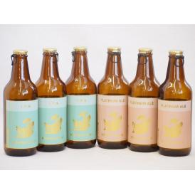 愛知金しゃちクラフトビール6本セット(インディアペール プラチナエール) 330ml×6本
