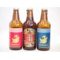クラフトビール3本セット(アルト ピルスナー 名古屋赤味噌ラガー) 330ml×3本
