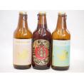 クラフトビール3本セット(インディアペール プラチナエール 名古屋赤味噌ラガー) 330ml×3本