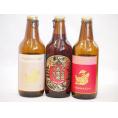 クラフトビール3本セット(アルト プラチナエール 名古屋赤味噌ラガー) 330ml×3本