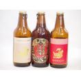 クラフトビール3本セット(アルト プラチナエール 名古屋赤味噌ラガー) 330ml×3本
