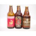 クラフトビール3本セット(アルト 名古屋赤味噌ラガー 伽羅) 330ml×2本 333ml×1本