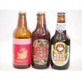 クラフトビール3本セット(アンバーエール アルト 名古屋赤味噌ラガー) 330ml×3本