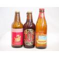 クラフトビール3本セット(アルト 名古屋赤味噌ラガー ロングボード) 330ml×2本 355ml×