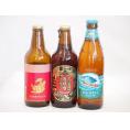 クラフトビール3本セット(アルト 名古屋赤味噌ラガー ビッグウェーブ・ゴールデンエール) 330ml