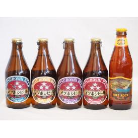 クラフトビール5本セット(ミツボシヴァイツェン ミツボシウインナースタイルラガー ミツボシピルスナー