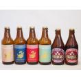 クラフトビール6本セット(アルト ピルスナー インディアペール プラチナエール ミツボシヴァイツェン
