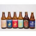クラフトビール6本セット(アルト ピルスナー インディアペール プラチナエール 名古屋赤味噌ラガー 