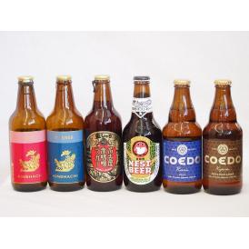 クラフトビール6本セット(アンバーエール アルト ピルスナー 名古屋赤味噌ラガー 伽羅 瑠璃) 33