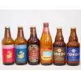 クラフトビール6本セット(アルト ピルスナー 名古屋赤味噌ラガー 伽羅 瑠璃 ロングボード) 330