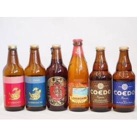 クラフトビール6本セット(アルト ピルスナー 名古屋赤味噌ラガー 伽羅 瑠璃 ロングボード) 330