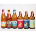 クラフトビール6本セット(アルト ピルスナー インディアペール ビッグウェーブ・ゴールデンエール フ