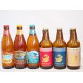 クラフトビール6本セット(アルト ピルスナー プラチナエール ビッグウェーブ・ゴールデンエール ファ