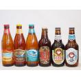 クラフトビール6本セット(ホワイトエール アンバーエール 名古屋赤味噌ラガー ビッグウェーブ・ゴール