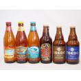 クラフトビール6本セット(名古屋赤味噌ラガー 伽羅 瑠璃 ビッグウェーブ・ゴールデンエール ファイヤ