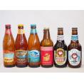 クラフトビール6本セット(ホワイトエール アンバーエール アルト ビッグウェーブ・ゴールデンエール 