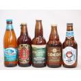 クラフトビール5本セット(ホワイトエール 横浜ピルスナー 名古屋赤味噌ラガー 伽羅 ビッグウェーブ・
