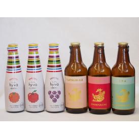 クラフトビールとリキュール6本セット(ヒュヴァ リンゴサワーalc.5% ヒュヴァ 巨峰サワーalc