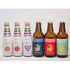クラフトビールとリキュール6本セット(ヒュヴァ リンゴサワーalc.5% ヒュヴァ 巨峰サワーalc