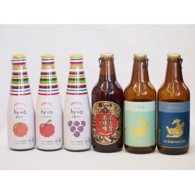 クラフトビールとリキュール6本セット(ヒュヴァ リンゴサワーalc.5% ヒュヴァ 巨峰サワーalc