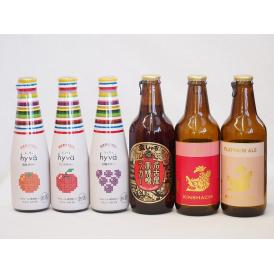 クラフトビールとリキュール6本セット(ヒュヴァ リンゴサワーalc.5% ヒュヴァ 巨峰サワーalc