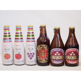クラフトビールとリキュール6本セット(ヒュヴァ リンゴサワーalc.5% ヒュヴァ 巨峰サワーalc