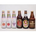 クラフトビールとリキュール6本セット(ヒュヴァ リンゴサワーalc.5% ヒュヴァ 巨峰サワーalc