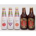 クラフトビールとリキュール5本セット(ヒュヴァ リンゴサワーalc.5% ヒュヴァ 巨峰サワーalc