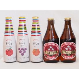 クラフトビールとリキュール5本セット(ヒュヴァ リンゴサワーalc.5% ヒュヴァ 巨峰サワーalc