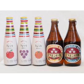 クラフトビールとリキュール5本セット(ヒュヴァ リンゴサワーalc.5% ヒュヴァ 巨峰サワーalc